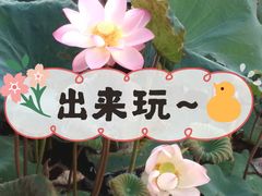 -潘塘公园