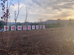 -君乐宝优致牧场