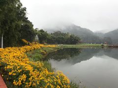 -广州市石门国家森林公园