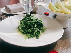 清炒鸡毛菜-潇湘楼·二十四节气山野菜(亚运村店)