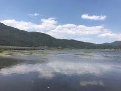 -腾冲北海湿地