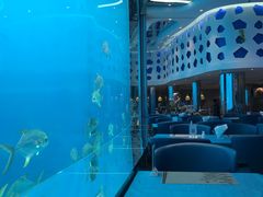 -瑞德姆美人鱼海底演艺主题餐厅(亚龙湾店)