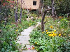 -杭州开元森泊度假乐园