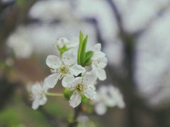 -桤木河湿地公园