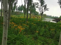 -东郊湿地公园