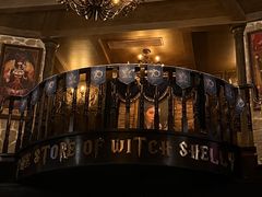 -雪灵魔法世界SHELLY’S TAROT(大良桂畔里店)