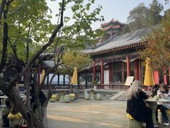 -宫事颐庭·老佛爷贵寿下午茶(颐和园店)