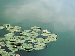 -丝绸小镇荻港古村