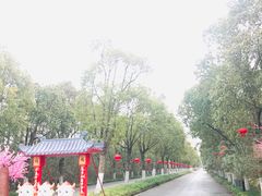 -上海海湾国家森林公园