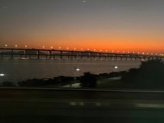 -百家春好德来姜母鸭