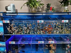 -大润发(花都店)