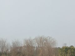 -白鹭湾湿地公园