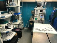 -爱诺耐芙动物医院(万博店)