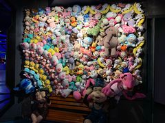 -巴克创奇梦工厂