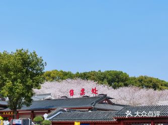 「东湖磨山景区」春天来了 樱花也开了 每年春天武汉的