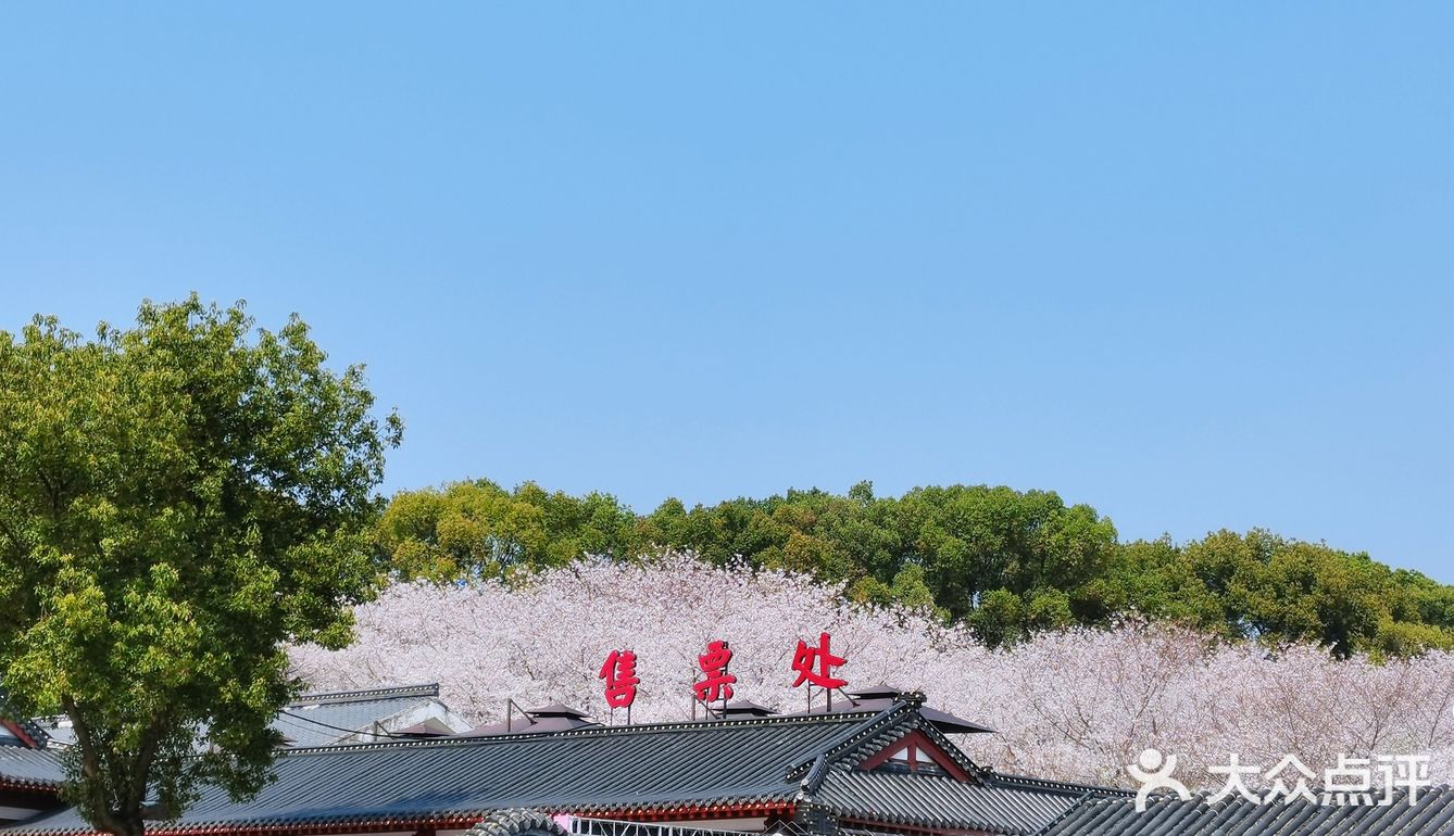 🌸