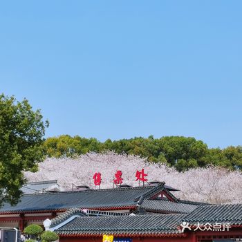 「东湖磨山景区」春天来了 樱花也开了 每年春天武汉的