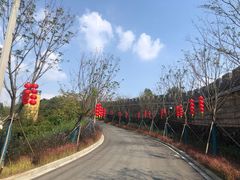 -黄贤森林公园