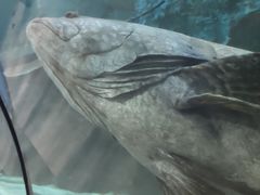 -苏州海洋馆
