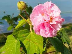 -天鹅湖体育公园