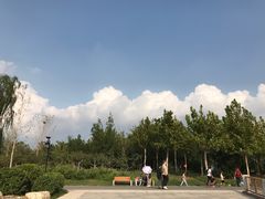 -水西公园