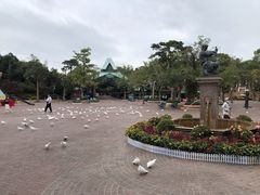 -东部华侨城
