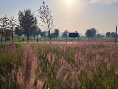 -汉长安城未央宫国家考古遗址公园