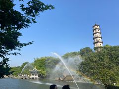 -江心屿景区