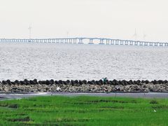 -南汇嘴观海公园