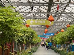 -南宫五洲植物乐园