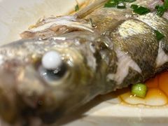 -金美华轩(东方路齐鲁店)