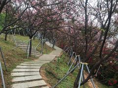 -小南山公园