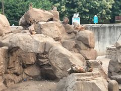 -西安秦岭野生动物园