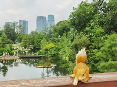 -云溪植物园