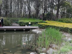 -苏州河梦清园环保主题公园