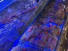-渔民船说·北塘海鲜·天津菜·海肠捞饭(北塘古镇店)