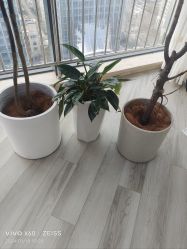 -HEYAN荷妍专业脱毛连锁机构