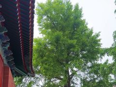 -承恩寺