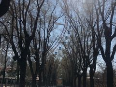 -哈尔滨文化公园