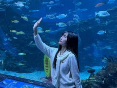 -海合安成都极地海洋公园