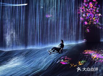 TeamLab拔草 | 沉浸式看展