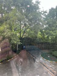-素美医疗美容·西南眼鼻整形·修复基地