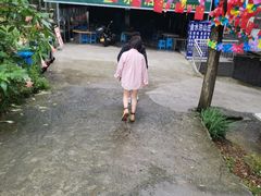 -金水泊山庄·花椒鸡(铁山坪店)
