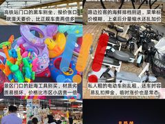 -日照海滨国家森林公园