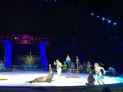 -珠海横琴长隆《卡卡虎奇遇记》