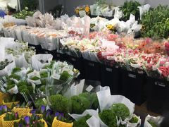 -循礼门鲜花花市(武汉循礼门店)