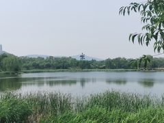 -北坞公园