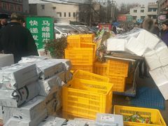 -老马家马峰腊牛羊肉店(桥梓口店)