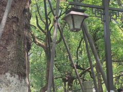 -吴山景区