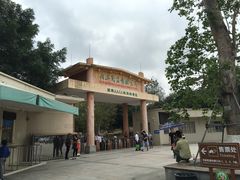 -广东茂名森林公园